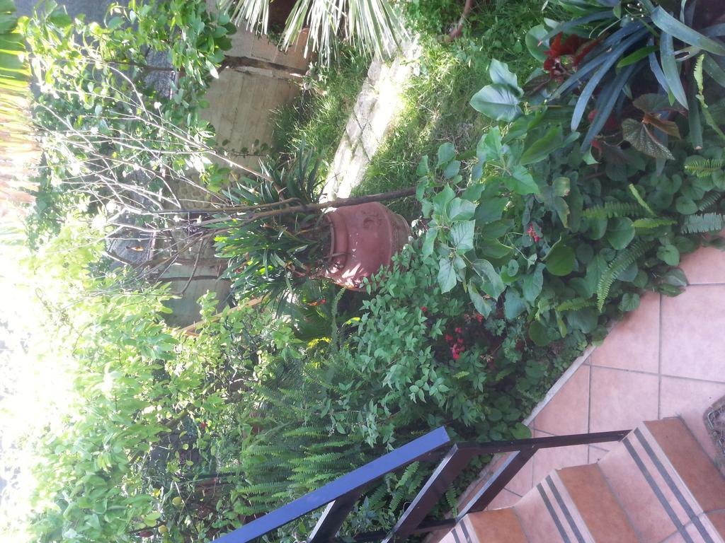 B&B Mare E Sole Brindisi Exterior photo